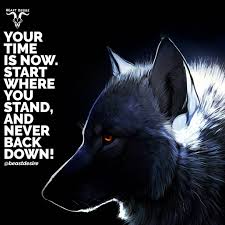 Never Lose Your Beast Again