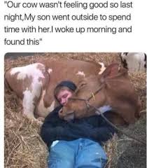 Oskar got killed after scholar-mating magnus carlsen