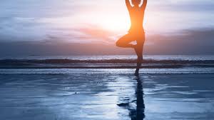 Want A Thriving Business? Focus On Harmony!