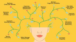 Meditation and it's benefits for your overall wellbeing