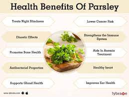 Green Goodness: Exploring the Surprising Benefits of Parsley