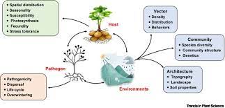 discussion between hosts about the future of family, and how the traditonal structures will change