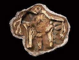 Weirdest fossil finds