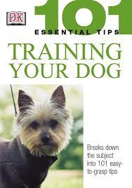 Training your dog 101