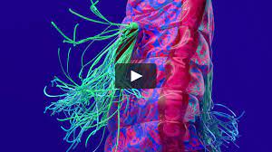 Russian Chart Muz TV