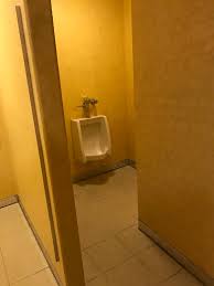 Backrooms Object 6389, Toilet