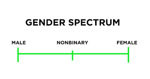 Sexuality falls on a spectrum