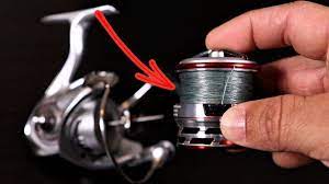 how often should i change fishing line