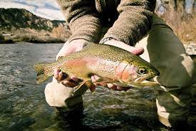 where is fishing good right now