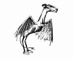 The hidden woods podcast, ep 1 the jersey devil