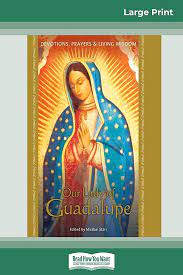 How To Lose Money With Hub Our Lady of Guadalupe Edition