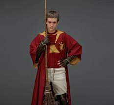 hogwarts quidditch top 5 players of all time