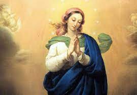 10 Names of the Immaculate Conception Mother Mary Edition