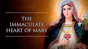 Meet the Immaculate Heart of Mary
