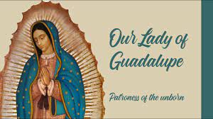 100 Hello Songs to Our Lady of Guadalupe (Super Simple Edition)