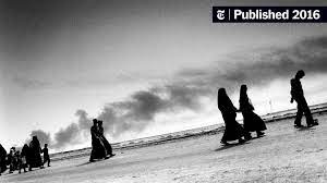 How to not completely suck at talking to grey aliens (one they show up)