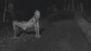 Skinwalker spotted in prineville Oregon