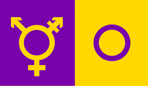 Robbylee batson Thomas buker and Tyler talsma from prineville Oregon Tyler is trans male to female we are all 22 and Robby has dyspraxic and Thomas is a crack baby and chubby and he always drives the other two around