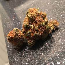 Orange asphalt weed strain