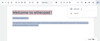Sync & Create: Enhancing Small Team Productivity through Etherpad Collaboration