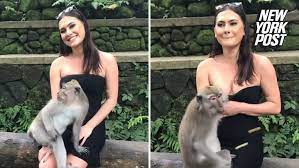 Sarah dons a monkey costume and runs naked through a laser tag hall