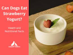 Strawberry's in yoghurt are deadly