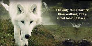 Damnit Clayton, I Outta Deck Your Halls, Bub! Also you forgot your beer at my place, stay away from that Darlene!