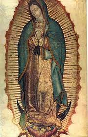 We Have School Today in Mexico the Virgin of Guadalupe Mother of Mexico