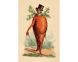 EXTRA LARGE BIGGER GIGANTIC CARROT GENTLEMAN REFRAIN!