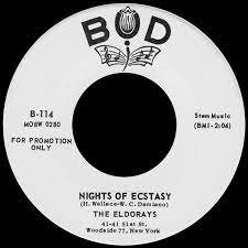 Nights of Ecstasy