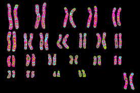 genetics in human samples