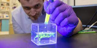 ACE and 3D Printed Tissues