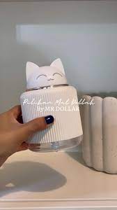 my beloved quirky cat, dollah