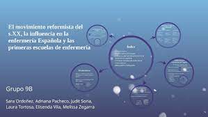 reformismo y la profesionalizacion de la enfermeria con autores
