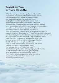 "The Persistence of Zig & Zag: Unpopular but Ever-Present Flies Crashing Everyday Activities"