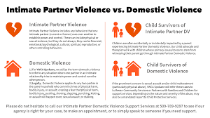 Difference between intimate partner violence and domestic violence in the LBGTQ+ community