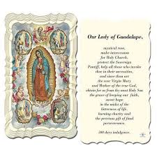 Roses and A Prayer to Our Lady of Guadalupe