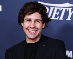 Biography Of David Dobrik