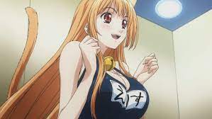 big boobs and their relationship with fanservice