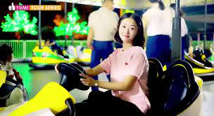 social media influencers in north Korea